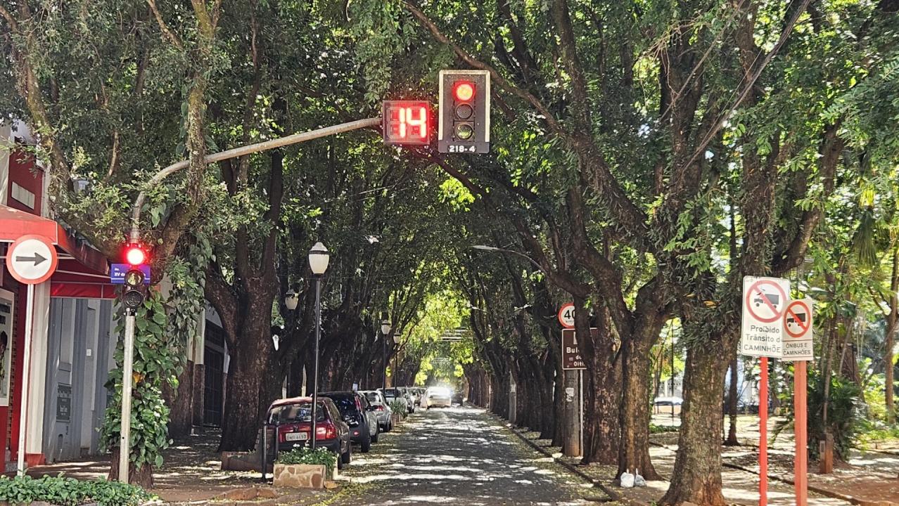 Foto 2 de 2 — Araraquara: conheça mais sobre uma das melhores cidades do Brasil